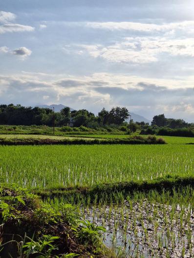 Goleyakh-Shaft_27093