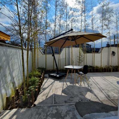 Romak-Tonekabon_62195