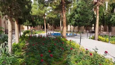 Shahvali-Kerman_59097