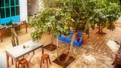 Taahaa-Esfahan_52360