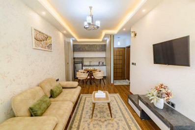 نمای سالن سوئیت یک خوابه هتل آرتمیس قشم با امکانات کامل مبلمان کرم با کوسن های سبز، لوستر، تابلو و فرش و آشپزخانه