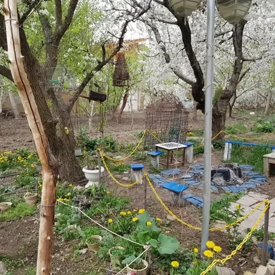 حیاط و نیم کت