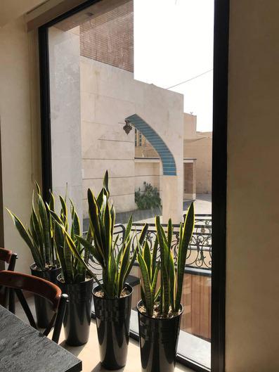 چهار گلدان خانگی لبه یک پنجره در هتل آوات اصفهان