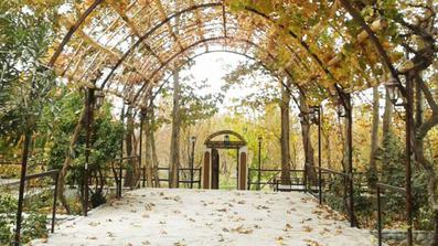 Babahesar-Mahan_4847