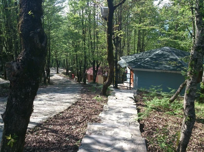 کلبه های چوبی جنگلی در هتل بام سبز رامسر