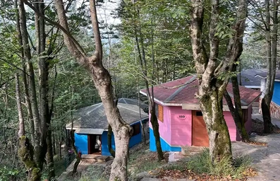 کلبه های چوبی به رنگ صورتی و آبی در هتل بام سبز رامسر