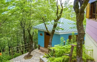 کلبه های چوبی رنگارنگ در هتل بام سبز رامسر