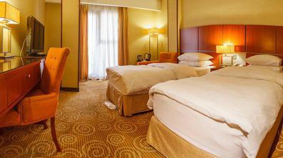 هتل بزرگ ۲ تهران - اتقا دو تخته توئین