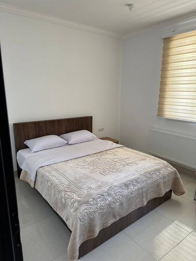 Chenar-Mahabad_40151