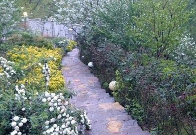 Emperatoorchalak-Lahijan_34984