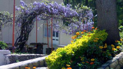 گل کاری های محوطه هتل فجر آبشار لاهیجان