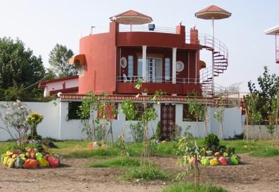 Fereidoonkenar-Nakhl_27314