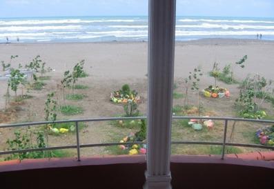 Fereidoonkenar-Nakhl_27316