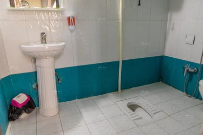 سرویس بهداشتی