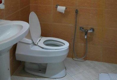 سرویس بهداشتی