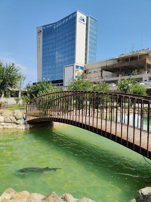 فضای سبز هتل میزبان بابلسر