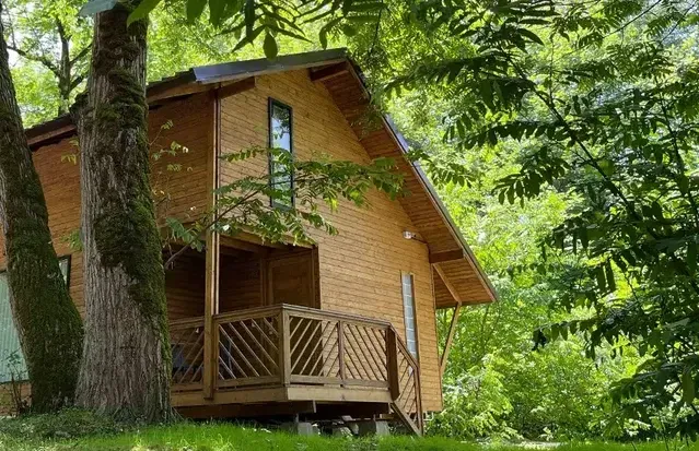 نمای بیرونی کلبه های چوبی دوبلکس در هتل جنگلی میزبان سوادکوه