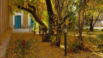 Nematollahi-Mahan_4042