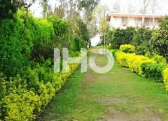 Parastoo-Chaboksar_49289