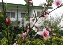 Parastoo-Chaboksar_49290