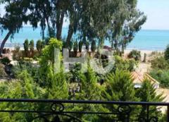 Parastoo-Chaboksar_49291