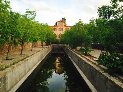 Regina-Taleghan_1344