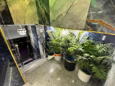 راهرو ورودی هتل رز (یک ستاره) تهران