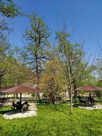 Sehezar-Tonekabon_35292