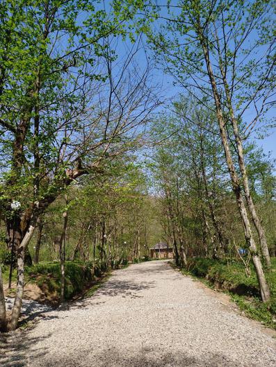 Sehezar-Tonekabon_35295