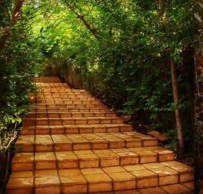 Shadmehr-Neyshabur_26551