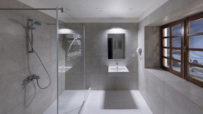 سرویس بهداشتی