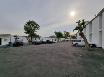 تصویر چندخودرو در سمت چپ و یک درخت در سمت راست. تصویر پارکینگ هتل ترن تهران