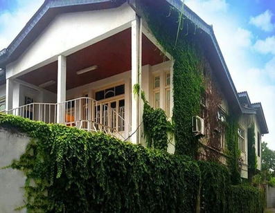 نما کلی و فضای سبز