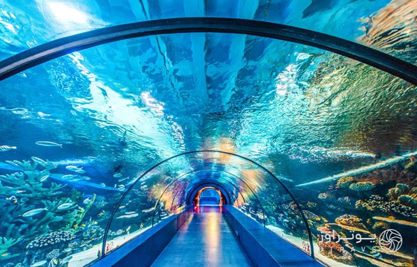 آکواریوم آنتالیا معرفی 15 تا از جاهای دیدنی آنتالیا | عکس + اطلاعات بازدید