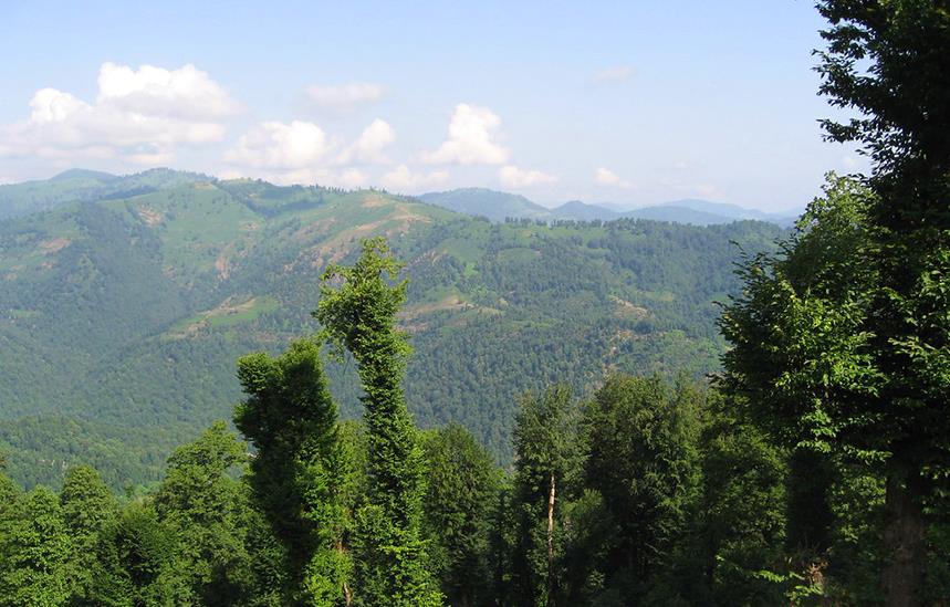 زیبایی های طبیعی ماسال ماسال؛ از طبیعتگردی تا دیدار با جوامع بومی