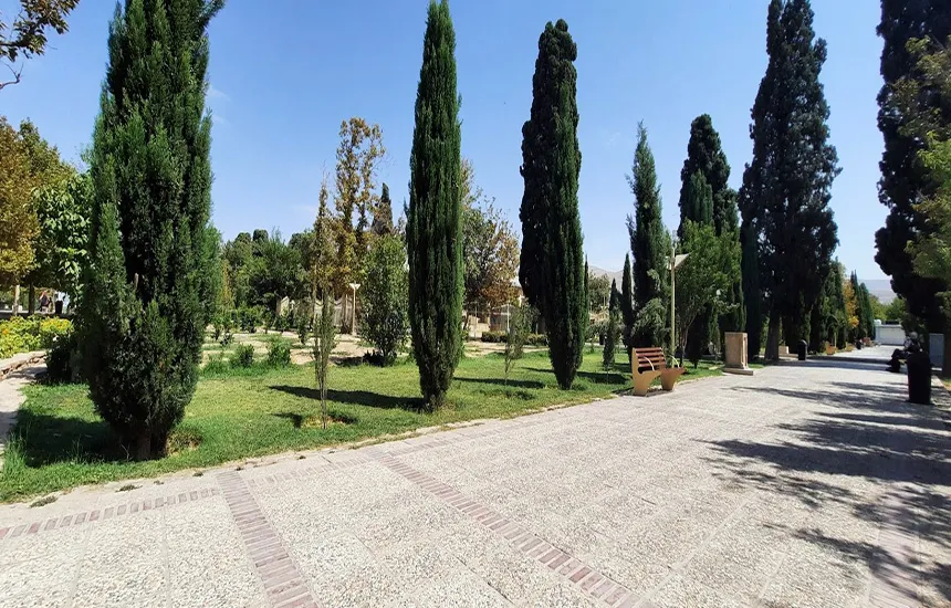 درختهای پارک شیراز