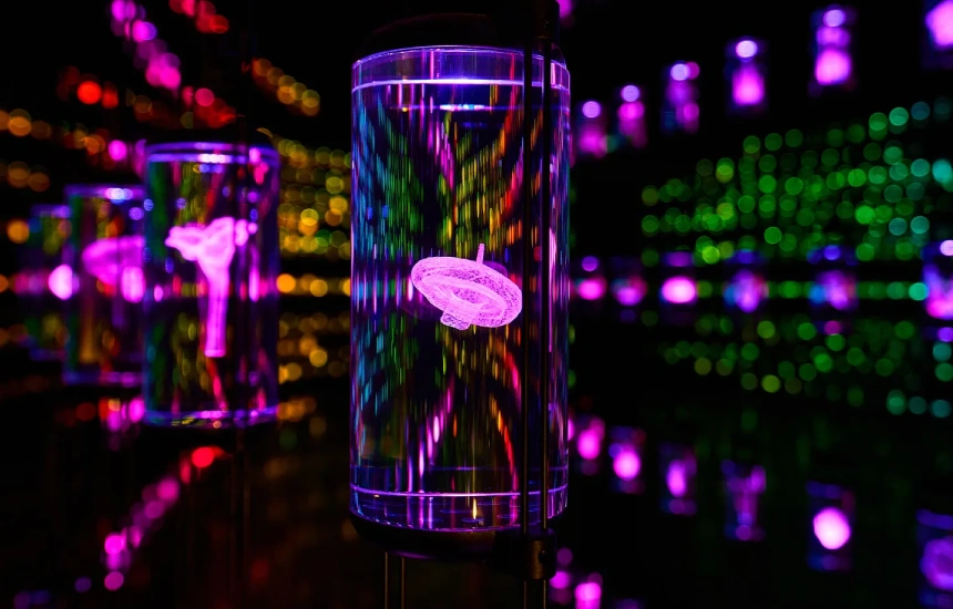 موزه آینده دبی؛ سفر به نیم قرن آینده!