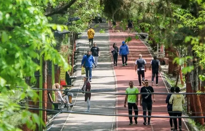 معرفی مجموعه ورزشی انقلاب تهران؛ راهنمای کامل