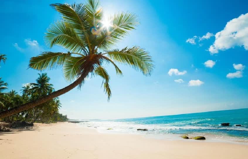 ساحل درختان نارگیل کیش بهترین ساحل کیش برای عکاسی؛ از کشتی یونانی تا درختان نارگیل