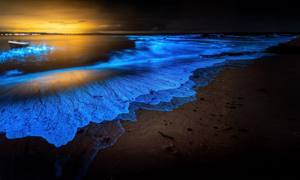 درخشش آب دریا در شب به‌دلیل فیتوپلانکتون‌ها