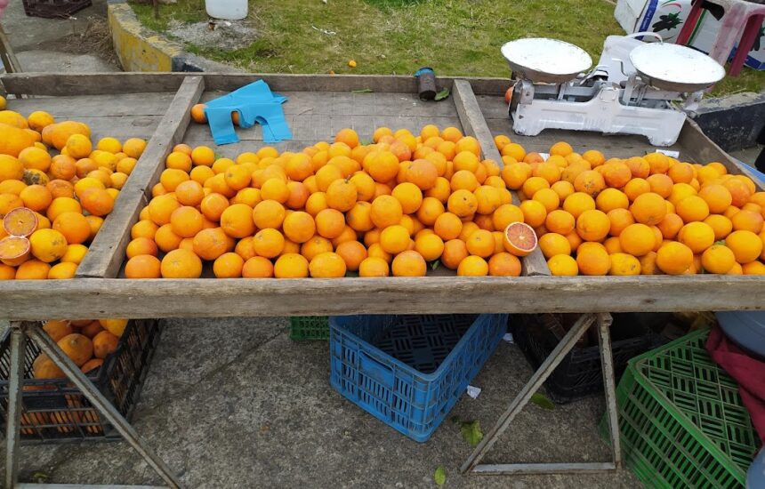 سبدهای میوه در بازار هفتگی رامسر