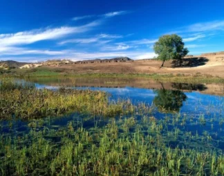 پریشان؛ دریاچه‌ای در انتظار نجات