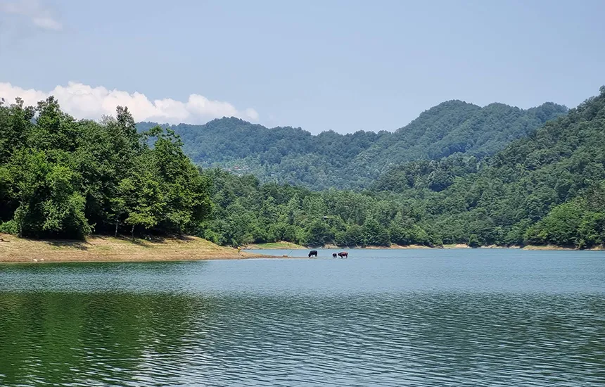طبیعت سد میجران در رامسر