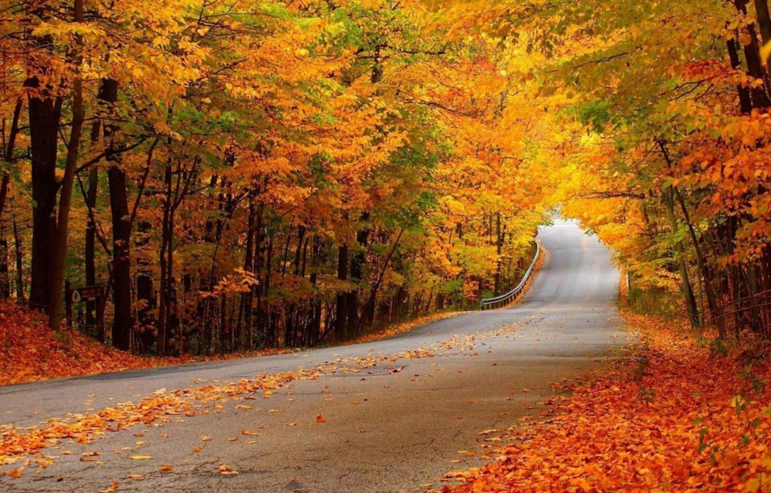 جنگل النگدره گرگان؛ بوم رنگ‌رنگِ گلستان